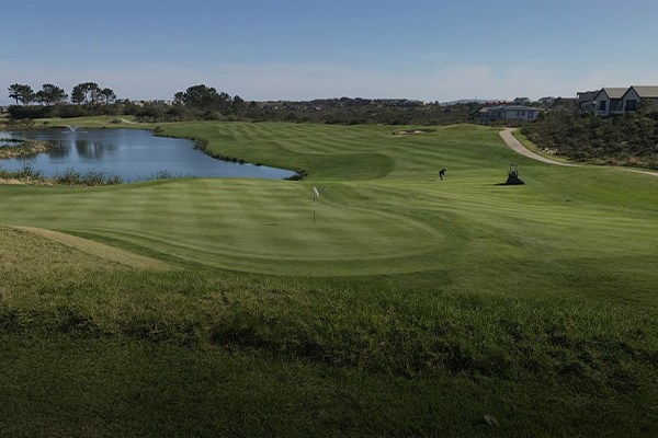 Turfworx Services